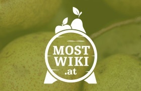 mostwiki.at