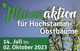 Obstbaum-Pflanzaktion 2023